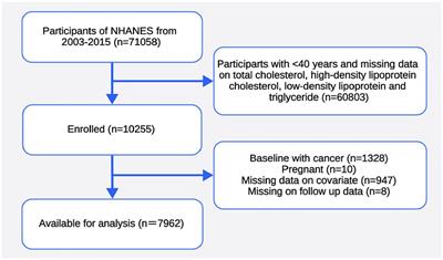 Remnant cholesterol and all-cause mortality risk: findings from the National Health and Nutrition Examination Survey, 2003-2015